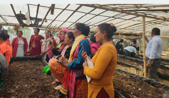 जैविकखेती प्रवर्द्धन गर्न गड्यौला मल उत्पादनमा जोड दिँदै पौवादुङमा