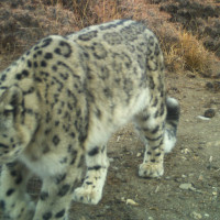जोखिम न्यूनीकरणका लागि समयमै सही सूचना आवश्यक : मन्त्री शर्मा