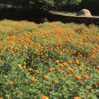 उत्साह लिएर मन्त्रालयमा आएको छु : स्वास्थ्य मन्त्री पौडेल