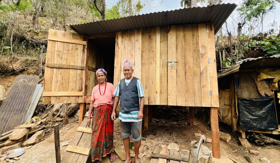 व्यवस्थित खोर निर्माणसँगै व्यवसायिक बाख्रापालनमा वालिङका कृषक आकर्षित