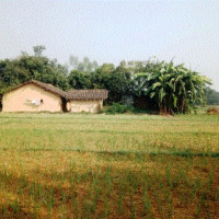 एमाले सचिवालय बैठक भोलि