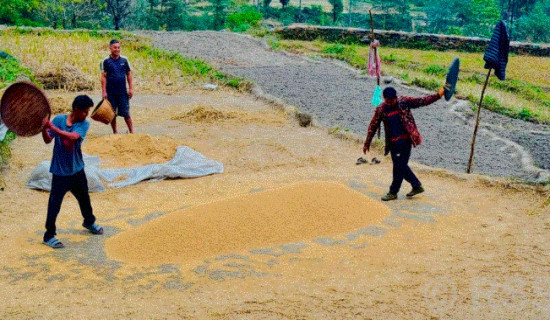 पर्वतमा ६५ करोडको कृषिजन्य वस्तुको कारोबार