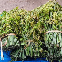 उच्च जोखिमका क्षेत्रमा श्रमिक नपठाउन आग्रह