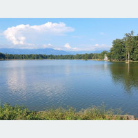 लिटल फ्लावर प्रिमियर लिग–७ को ट्रफी सार्वजनिक, तयारी पूरा