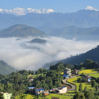 १२ वर्षपछि अलैंचीको मूल्य लाख पुुग्यो