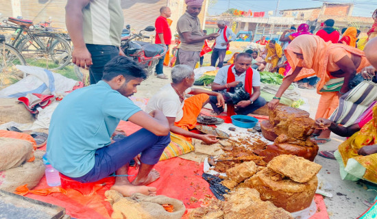 वार्षिक १५ जनाको कलेजो प्रत्यारोपण