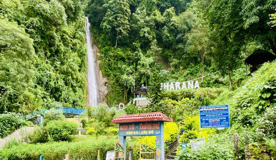 दुर्घटनामा मोटरसाइकल चालकको मृत्यु
