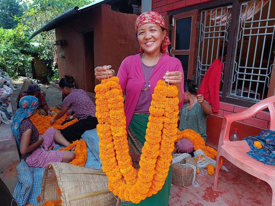 कालीगण्डकीका कृषकले तिहारमा कमाए १६ लाख