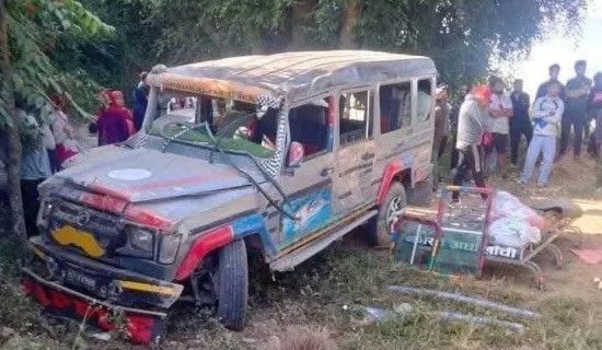 फोर्स गाडी दुर्घटना, ९ जना घाइते