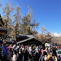 बस चोरेर चितवन लग्दैगरेका किशोर पक्राउ