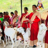 बस चोरेर चितवन लग्दैगरेका किशोर पक्राउ