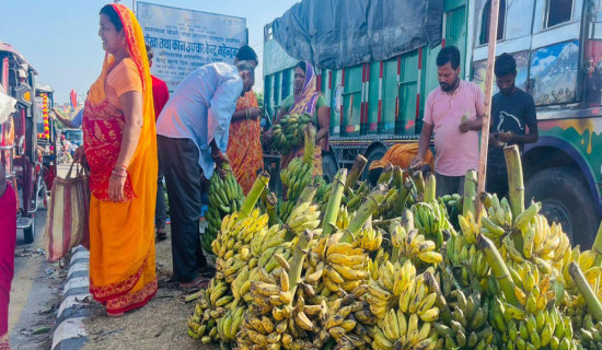 छठ पर्वले बजारमा केराको माग बढ्यो