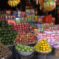 विशाल मेला गढीमाई