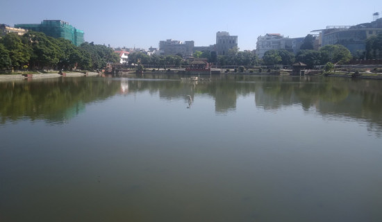 कमल पोखरी