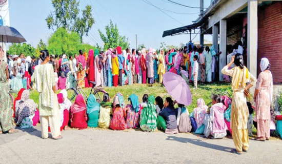 मल अभावले मर्कामा किसान