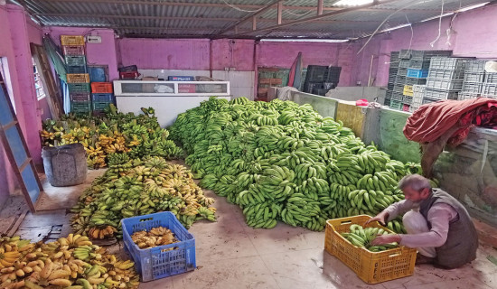 मधेशमा छठको रौनक