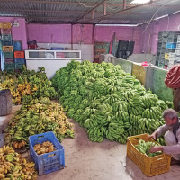 बाढीले दुई सीमास्तम्भ बगायो, दर्जनौँ जोखिममा