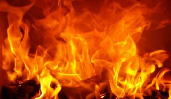 निसीखोलामा एक घर जलेर नष्ट
