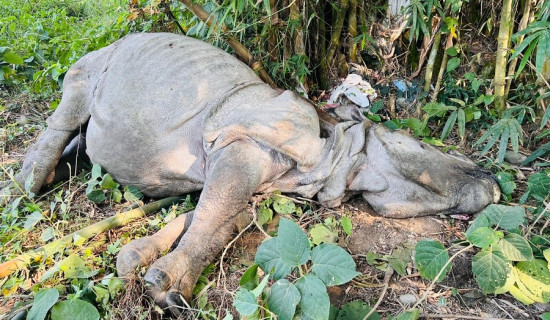 सत्ता सहकार्यलाई कमजोर पार्ने काम नगर्न एमालेको आग्रह