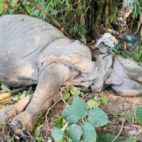 निःशुल्क स्वास्थ्य सहायता कक्ष स्थापना