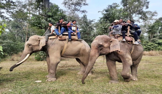 जङ्गली हात्तीबाट मृत्यु भएका परिवारलाई १० लाख सहयोग