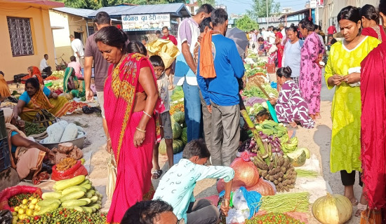 असिना पानीले बाली नष्ट, किसान चिन्तित