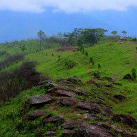 चीनको ताक्लाकोटबाट फर्किदै लिमीका युवायुवती