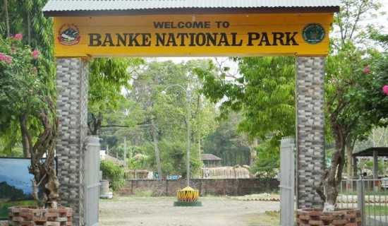दाङ क्षेत्र नम्बर २ (क) मा कांग्रेसका खनाल विजयी