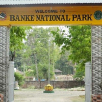 छठमा चढाइने कृषिजन्य तरकारी तेब्बरमा बिक्री, छैन अनुगमन