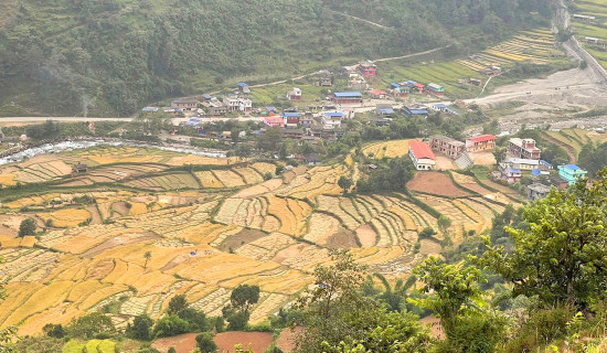 कुष्ठरोग निवारणको १५ वर्षमा पनि घटेन त्रास