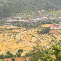 विकासमा राजनीतिक सहमति आवश्यक छ : महासचिव पोखेरेल