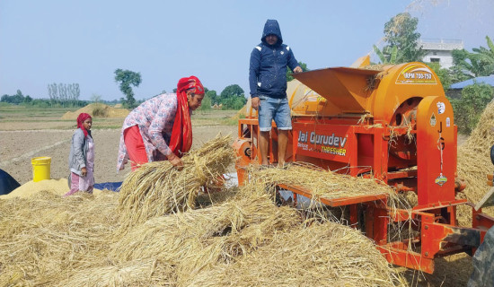 सांस्कृतिक संस्थानमा दीक्षान्त