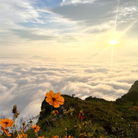 किस्तामा बक्यौता तिर्न प्राधिकरणको आह्वान