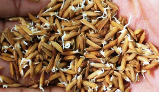 छठ पर्वले नेपालीको राष्ट्रिय एकतालाई थप सुदृढ बनाउने छ : राष्ट्रपति पौडेल