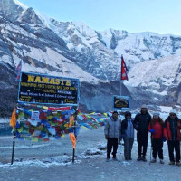 धादिङमा बस दुर्घटना, आठ घाइते