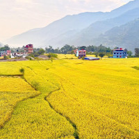 तीन महिनामा छ हजारभन्दा बढीलाई सेवा प्रवाह