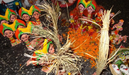 मिथिलामा सामाचकेवा पर्व सुरु