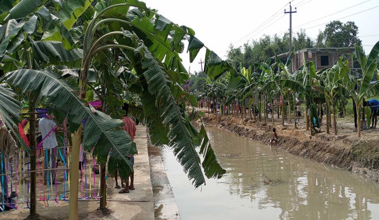 नेपाली एकै ठाउँमा छौँ भन्ने सन्देश दिनुछ : मुख्यमन्त्री शाह
