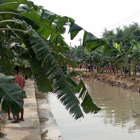 अस्ट्रेलियासँगको ‘मतभेद हटाउन’ चिनियाँ प्रधानमन्त्री लीको आग्रह