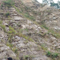 जाजरकोटमा जिप दुर्घटना, दुईको मृत्यु, नौ जना घाइते