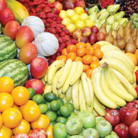 रुख काट्न वनले माग्यो मन्त्रालयको सहमति