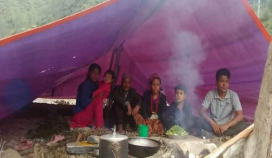 त्रिपालको बसाइमा चिसोको चिन्ता