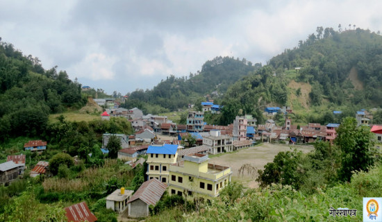 चार दशक बित्दा पनि बुधबारे बजार उस्तै