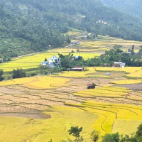 सुशासनसहितको विकास