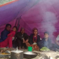 विषादी मिसिएको पानीले कुलेखानीको माछा उत्पादनमा ह्रास