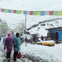 राष्ट्रपतिसमक्ष निर्वाचन आयोगको प्रतिवेदन पेस