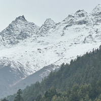 फरार प्रतिवादीहरू पक्राउ