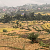‘सूचना प्रविधि उद्योगीका लागि अध्यादेश सकारात्मक’