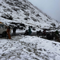 जलवायु परिवर्तनको असर : खेर जाँदै जङ्गली फलफूल