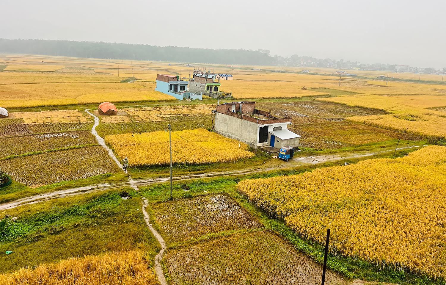 पानी पर्दा मर्कामा किसान